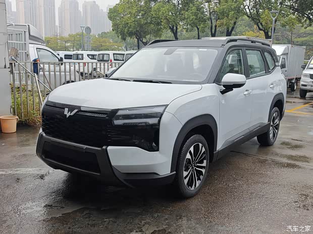 或命名星光560/提供三种动力供选择 五菱宏光侠到店