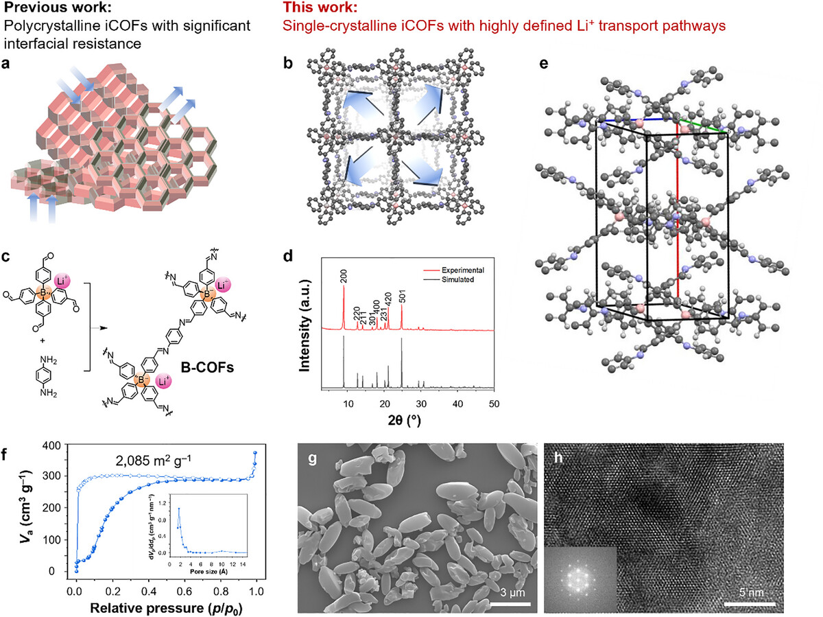 香港科技大学开发单晶电解质 助力打造更安全的锂金属电池